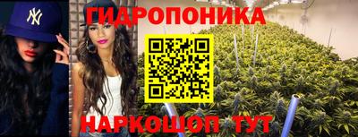 винт Тара