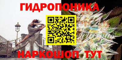 мдпв Тверь