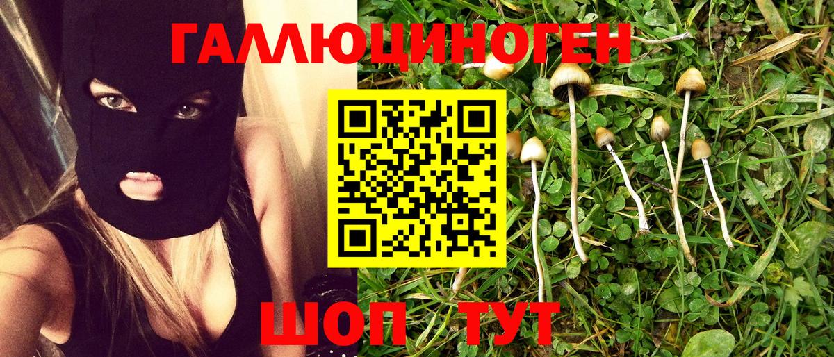 Новочеркасск  Галлюциногенные грибы мицелий  Вход с VPN 