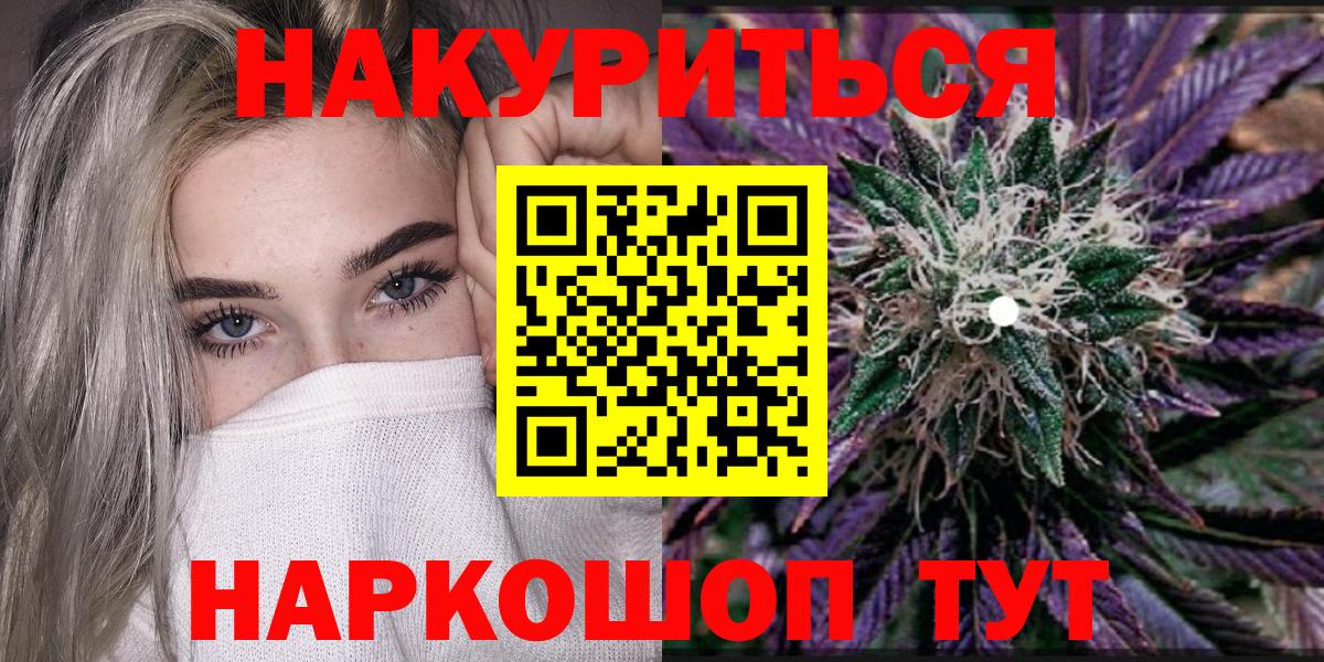 A PVP Новочеркасск